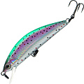 T-MINNOW